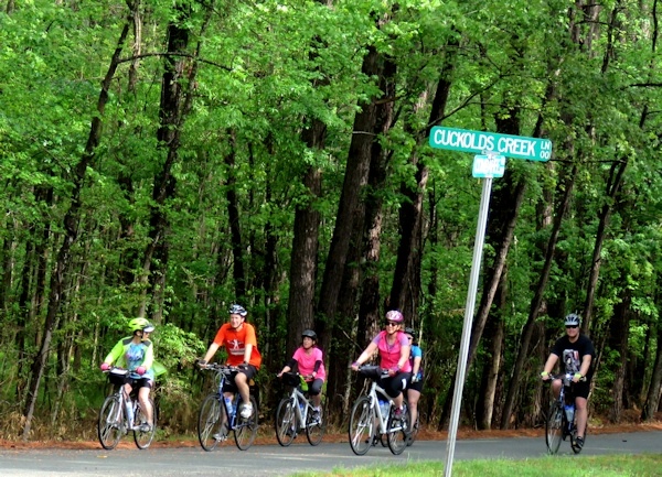 downtown charleston sc bike tour